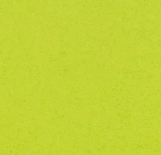 248UP43C lime green canyon